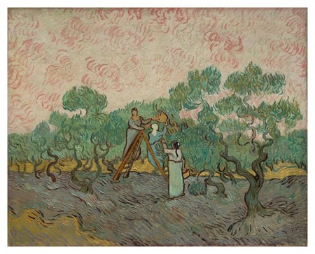 Van Gogh - Woman Picking Olives